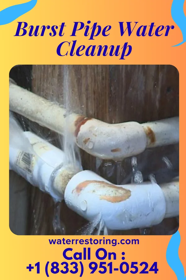 Burst Pipe Water Cleanup in Robertsville, NJ