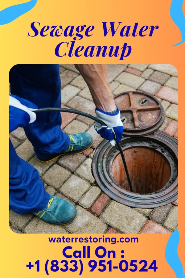 Sewage Water Cleanup in Robertsville, NJ